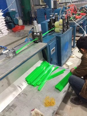 Linea di produzione di plastica di profilo del PVC del gancio dell'insegna del manifesto 5M/Min