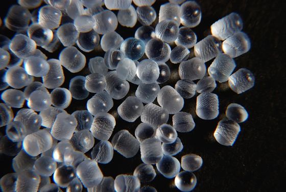 Il TPE molle eccellente dei granelli traslucidi trasparenti del TPE appallottola l'elastomero termoplastico di SEBS